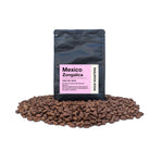 Rock Roasters Mexico Zongalica